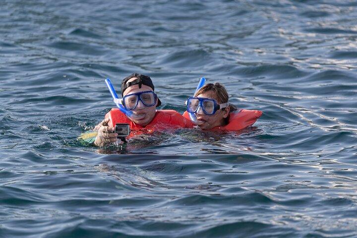 Snorkel and Sunset Sail in Cabo San Lucas