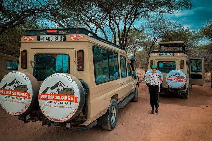 3 Days Serengati and Ngorongoro crate Private tour and safari