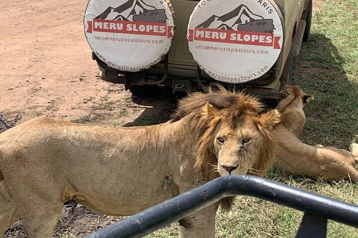 6 Days Tanzania Budget Camping join group Safari with Migration