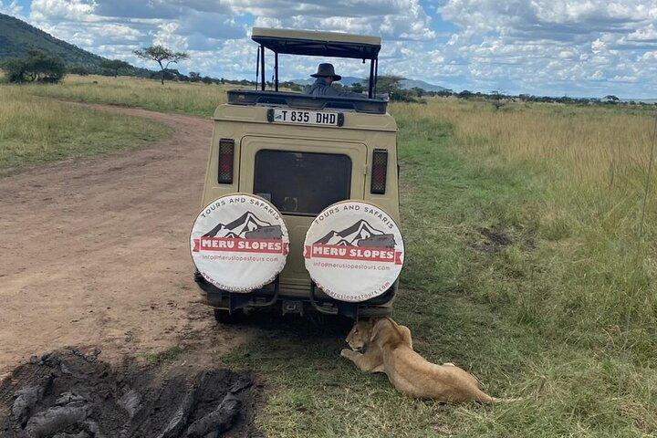 6 Days Tanzania Budget Camping join group Safari with Migration