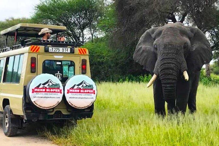 3 Days Serengati and Ngorongoro crate Private tour and safari