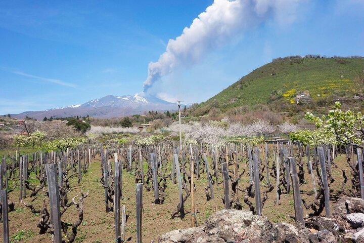Etna Private tour from Messina Cruise Terminal + Lunch at Winery