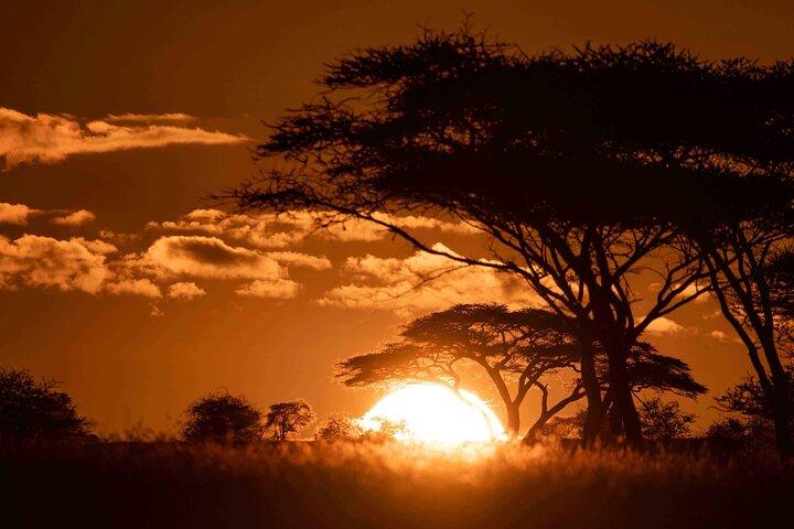 Safari Kitendo Luxury Safari for July, August and September