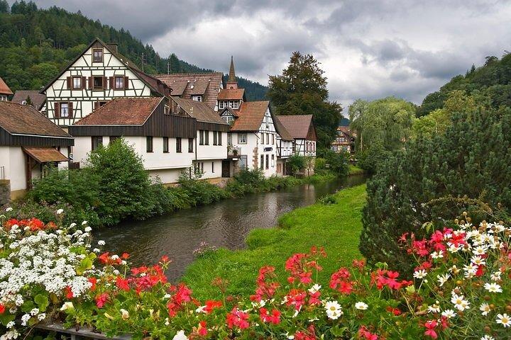 Black Forest and Rhine Falls Day Trip from Zurich