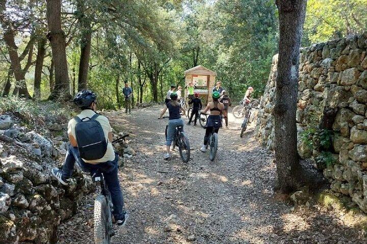 Full-Day E-Bike Rental in San Gimignano