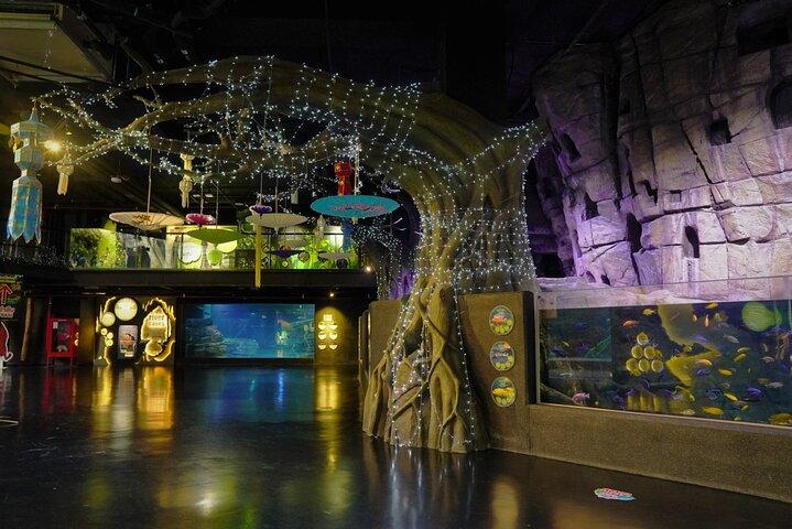 Aquarium Phuket (Only Admission ticket)
