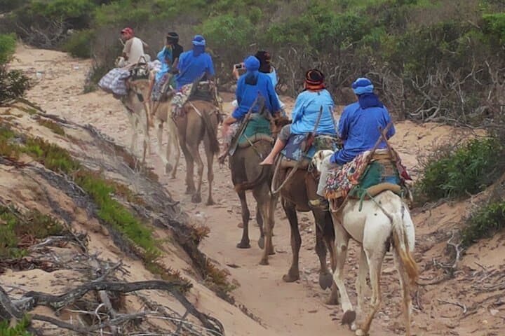 Essaouira 1-Hour Discovery Ride on a Camedary