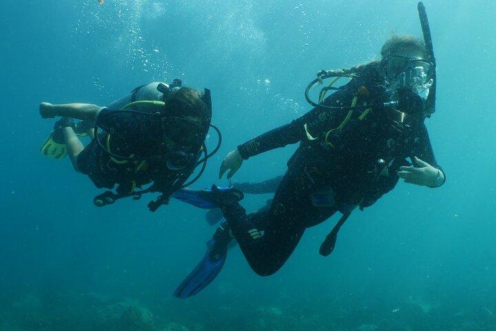 Discover Scuba Diving in Dubai