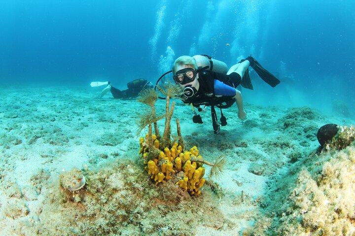 Crete-Chania: Snorkeling & Scuba Dive by boat with Free Transfer!