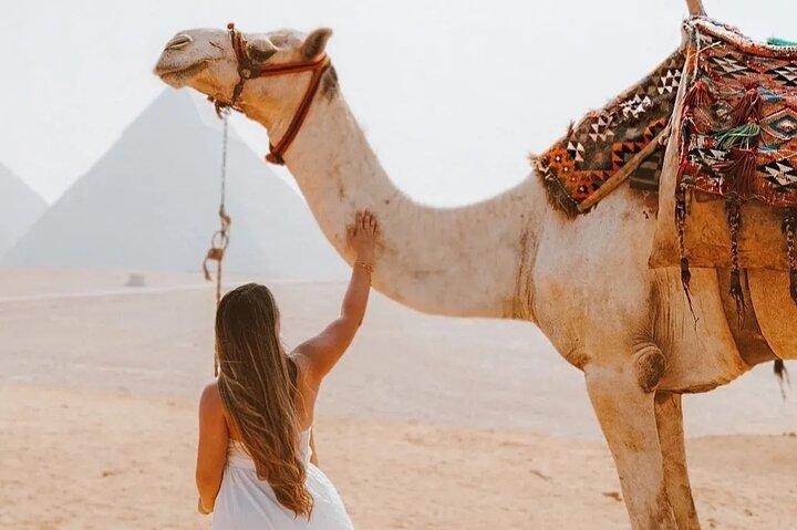 Full Day Tour Giza Pyramids, Sphinx, Saqqara &Dahshur Pyramids