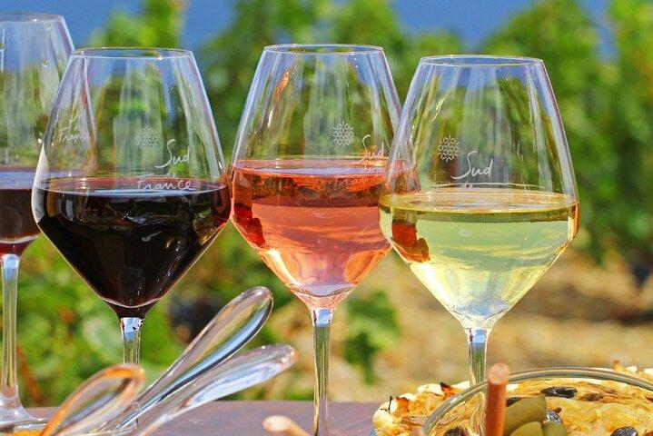 Provence Organic Wine Tasting Half Day Tour from Nice