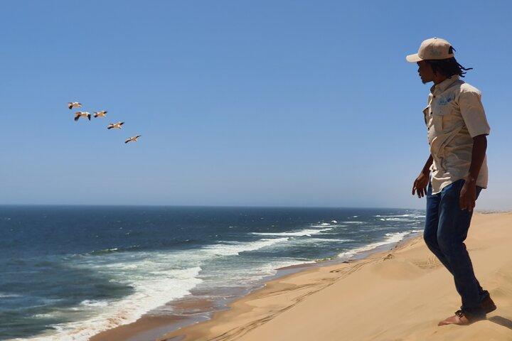 Sandwich Harbour Dunes & Ocean 4x4 Experience from Walvis Bay