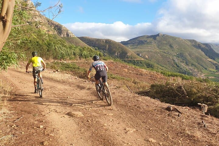 Private Mountain bike on Cape Town Trails with a Pro