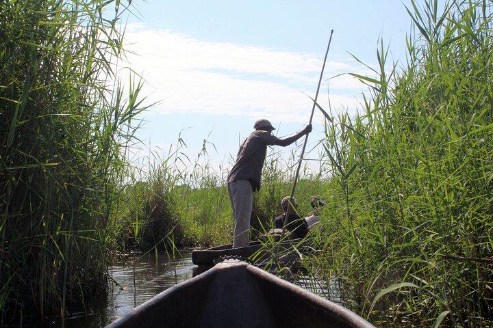 7-Day Okavango Delta & Moremi Safari from Maun – All-Inclusive