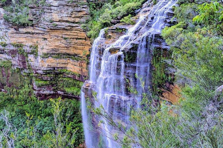 Blue Mountains Wilderness Wonder