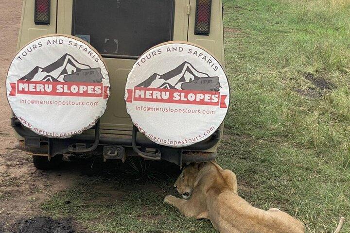 6 Days Tanzania Budget Camping join group Safari with Migration