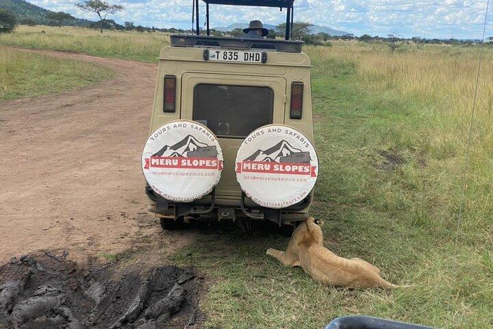 5 Days Camping Tarangire, Serengeti & Ngorongoro crater & Visiting Maasai