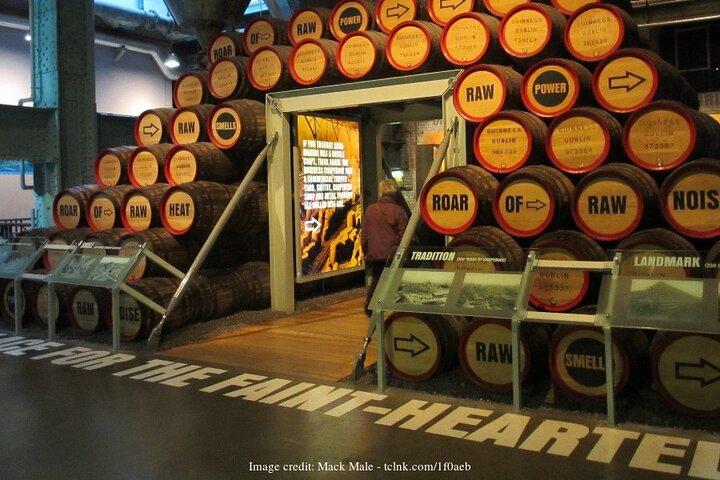 Dublin in a Day Private Tour: Book of Kells & Guinness Storehouse