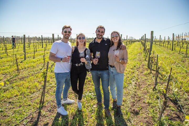 Bodega Gamboa Premium Wine Tasting with Lunch