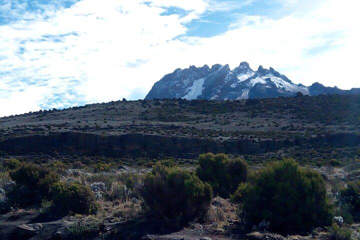 6-Day Machame Route Tour From Moshi - Climbing Kilimanjaro