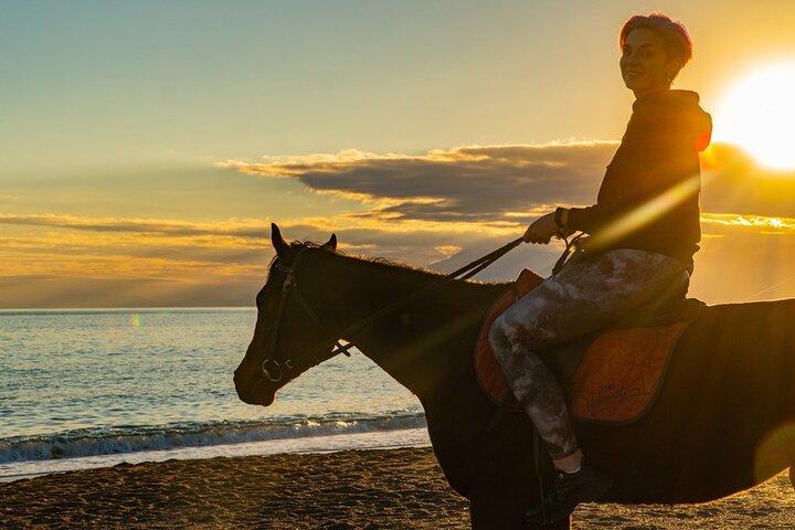 Antalya Horseback Riding Adventure Through Scenic Trails
