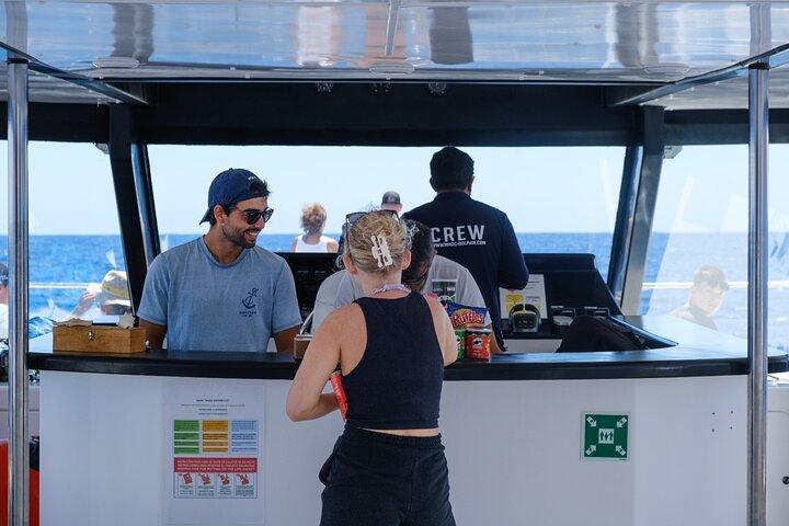 Madeira Dolphin and Whale Watching on a Ecological Catamaran