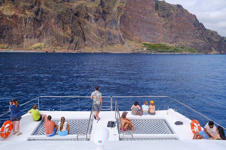 Madeira Dolphin and Whale Watching on a Ecological Catamaran