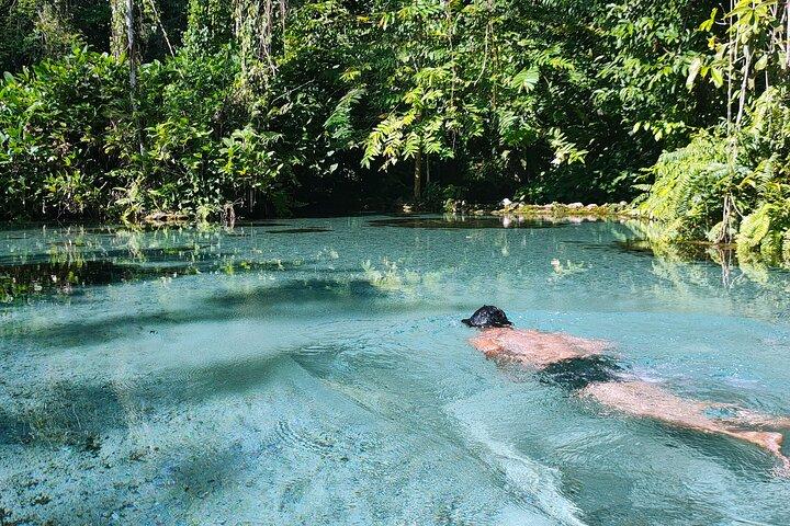 From Khao Lak : Cheow Lan Lake & Nam Rad Emerald Pool