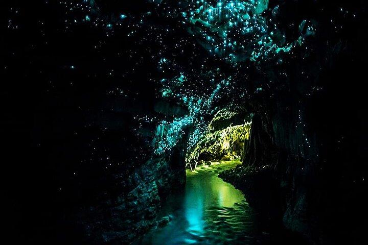 Private Round Trip Transport To Waitomo Caves From Auckland