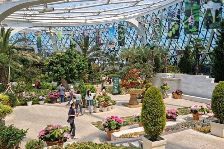 DIY Seoul Private Tour: Select 4 places you want to go