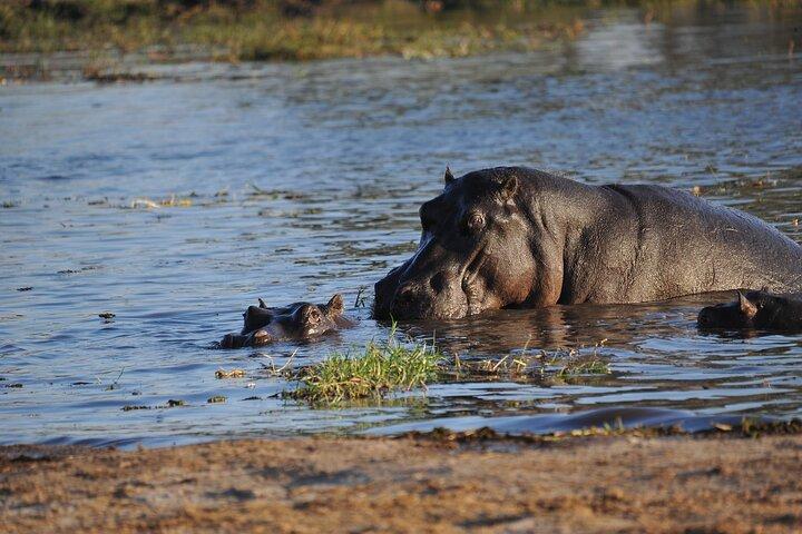 2 nights 3 days Overnight Mokoro Trail Okavango delta