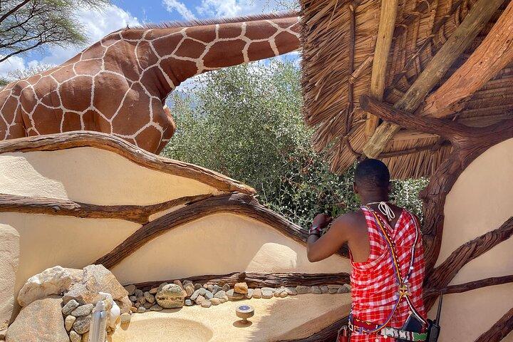 7-Day Lake Manyara, Ngorongoro Crater and Serengeti Private Tour