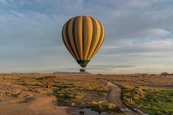7-Day Lake Manyara, Ngorongoro Crater and Serengeti Private Tour