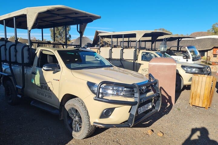 Safari (Groups) All inclusive
