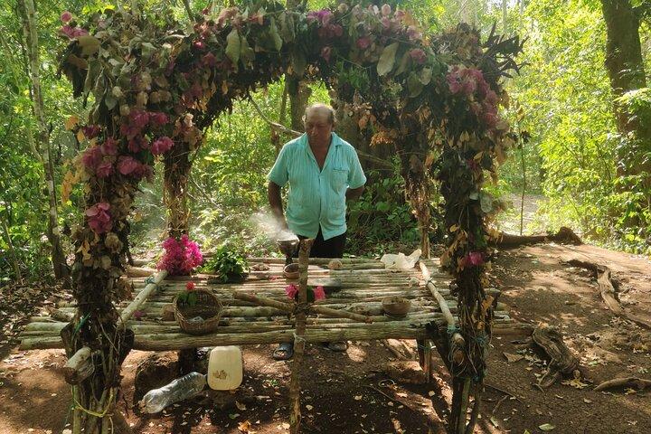 Unforgettable Journey: Coba, Monkey Reserve, and Mayan Cenote