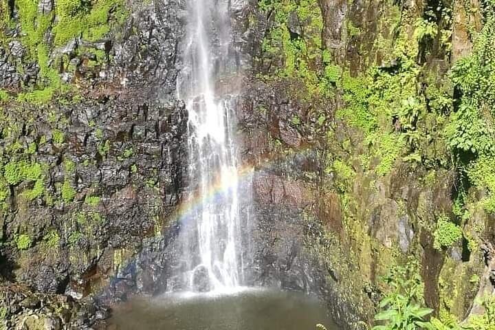 Mbokomu WATERFALL and TALLEST TREE IN AFRICA