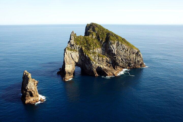 Bay of Islands Cruise & Island Tour - Snorkel, Hike,Swim,Wildlife
