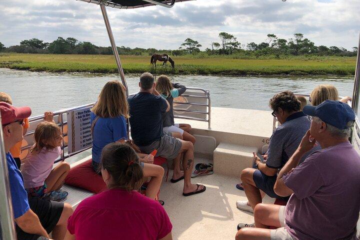 OC Bay Hopper - Assateague Island Cruise