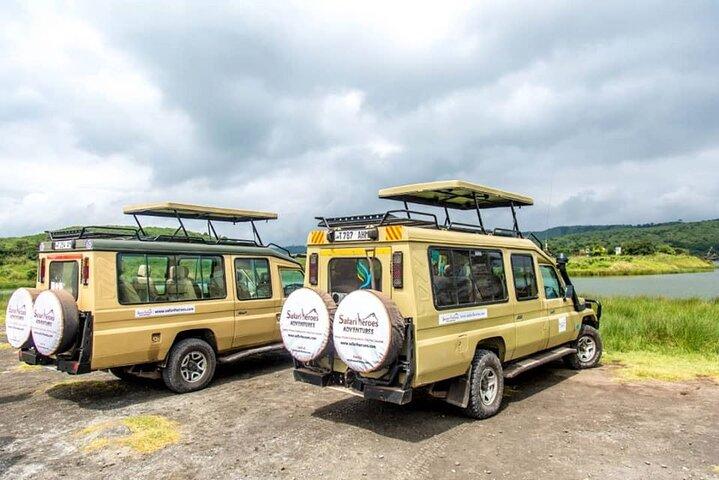 Tanzania Safari 4-day Tour