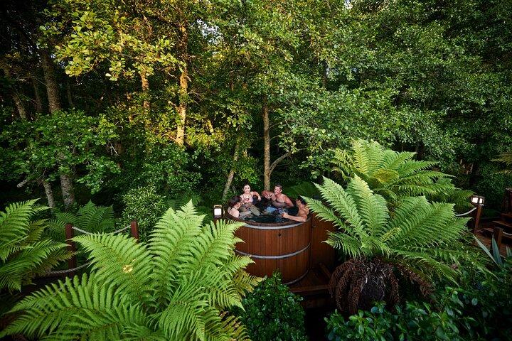 Rotorua Private tour with Hotspring