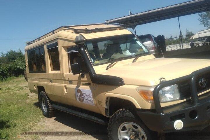 3 Days, 2 Nights Masai Mara Kenya Safari from Nairobi
