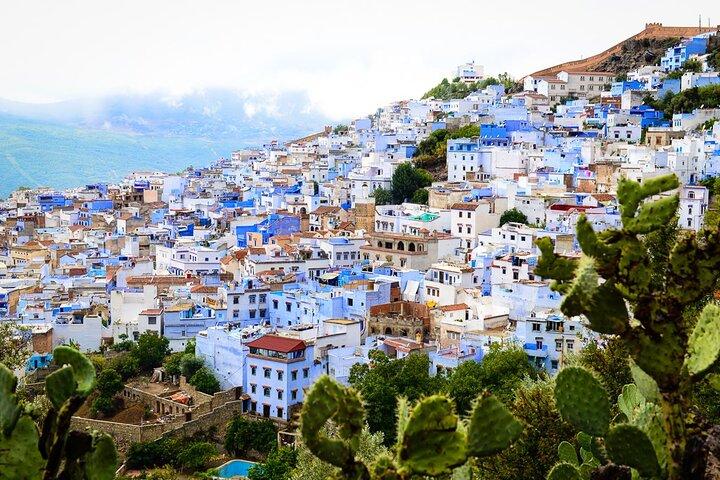Chefchaouen Day Trip from Fes Group /Small Group /Private