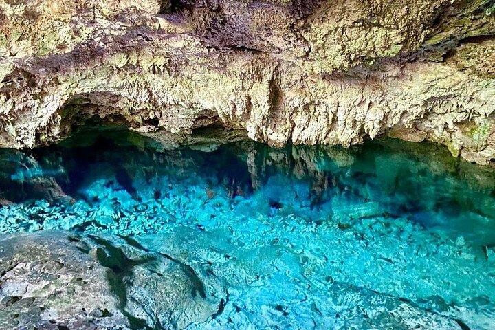 Kuza Cave Tour, The Rock Restaurant, Jozani Forest, Prison Island, Secret Garden