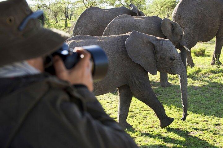 5 Days Serengeti and Ngorongoro Crater Safari