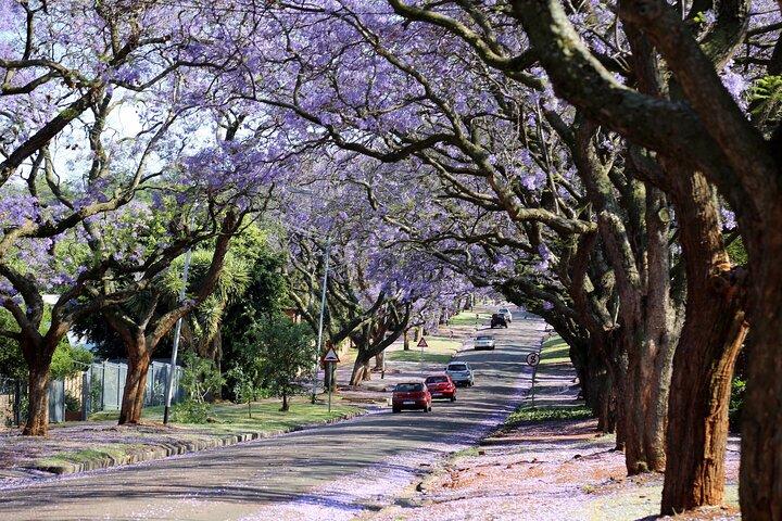 Private Half Day Pretoria City Tour from Johannesburg or pretoria