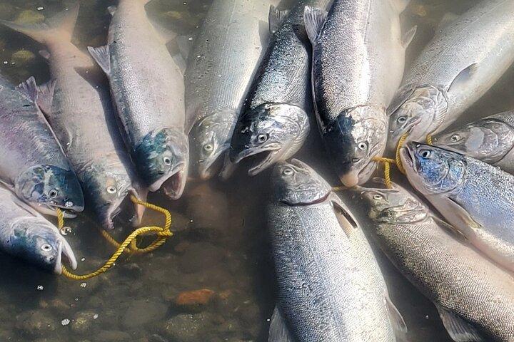 Alaskan Full-Day Salmon Fishing with Transportation