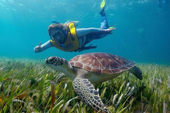 Private Snorkeling Adventure in Cancun
