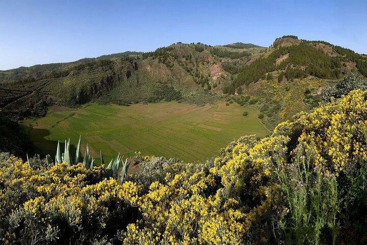 Excursion to the center of the island Gran Canaria