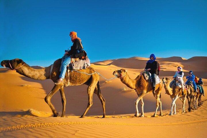 Private Morning Desert Safari Dubai