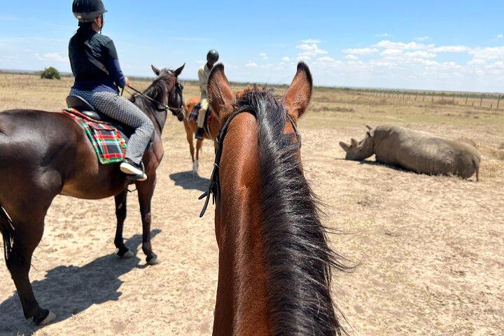 Day safari to Olpejeta Rhino conservancy